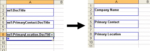 Renaming captions in the worksheet screen.