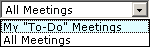 Meetings drop-down list.